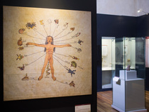 Museo Palacio de la Escuela de Medicina