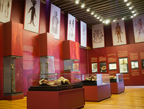 Museo Palacio de la Escuela de Medicina