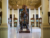 Museo de Geologia UNAM